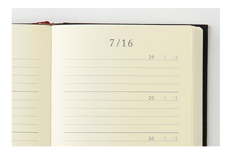 A Multi Year Diary